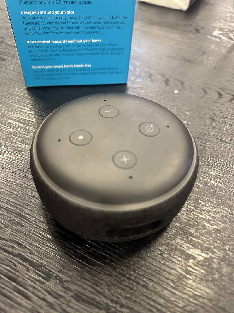 Echo dot voice controller 0