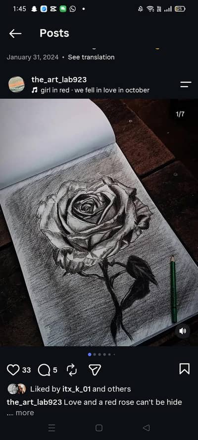 black rose