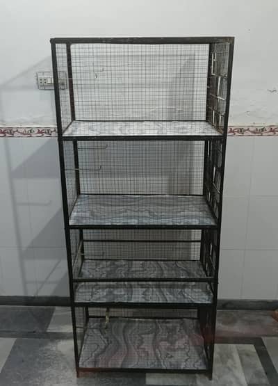 Pinjra, Birds home, Parrots Housee, Pinjra