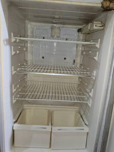 waves fridge for sell