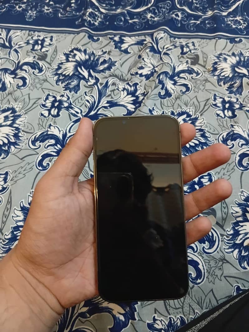 Apple iPhone 13 Pro 4