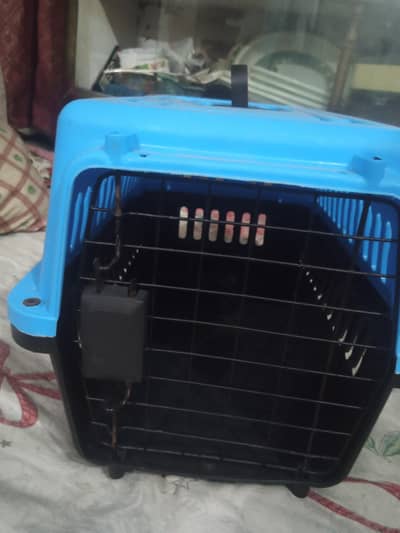 Cat Cage