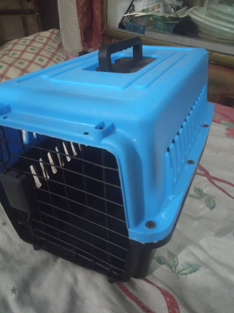 Cat Cage 1