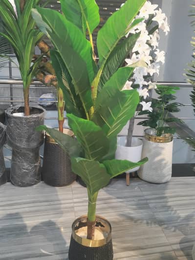 artificial plants
