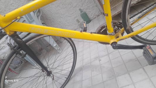 sports bicycle