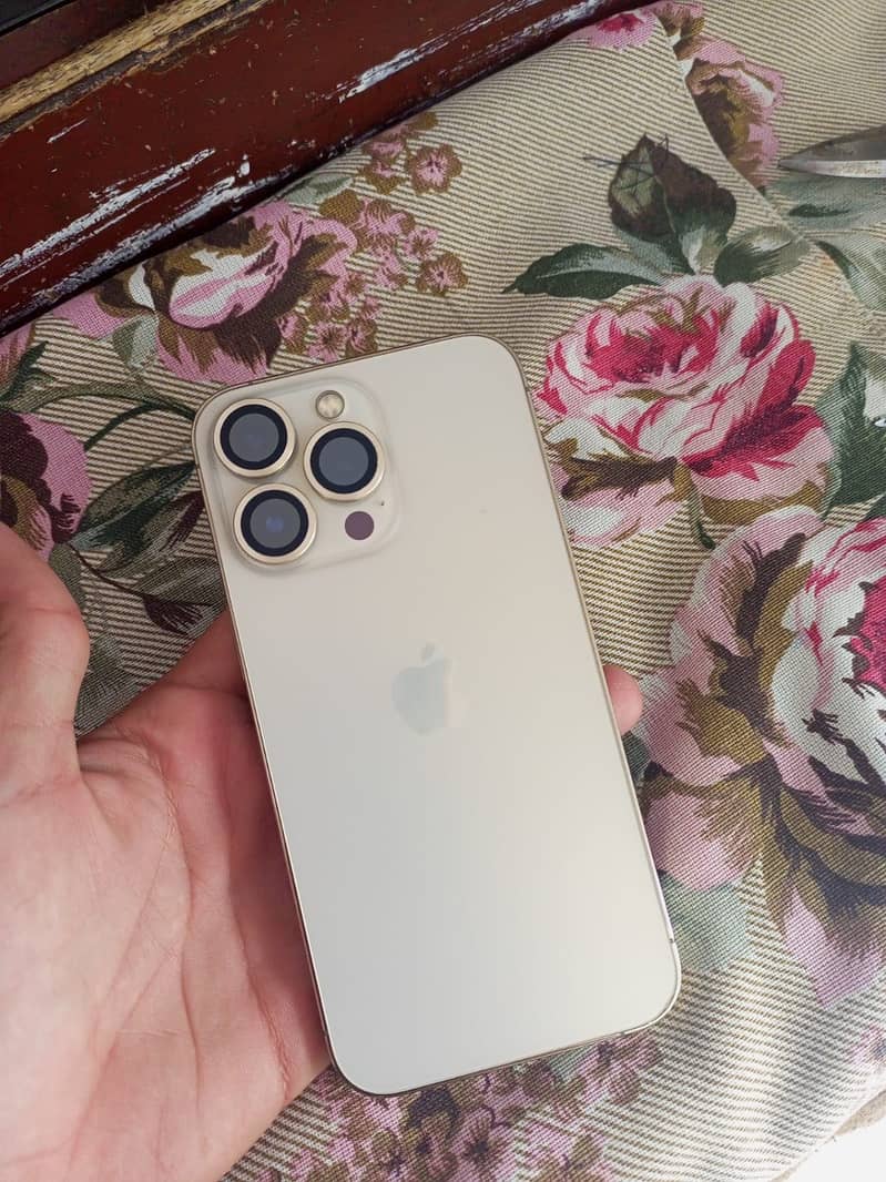 Apple iPhone 13 Pro 0