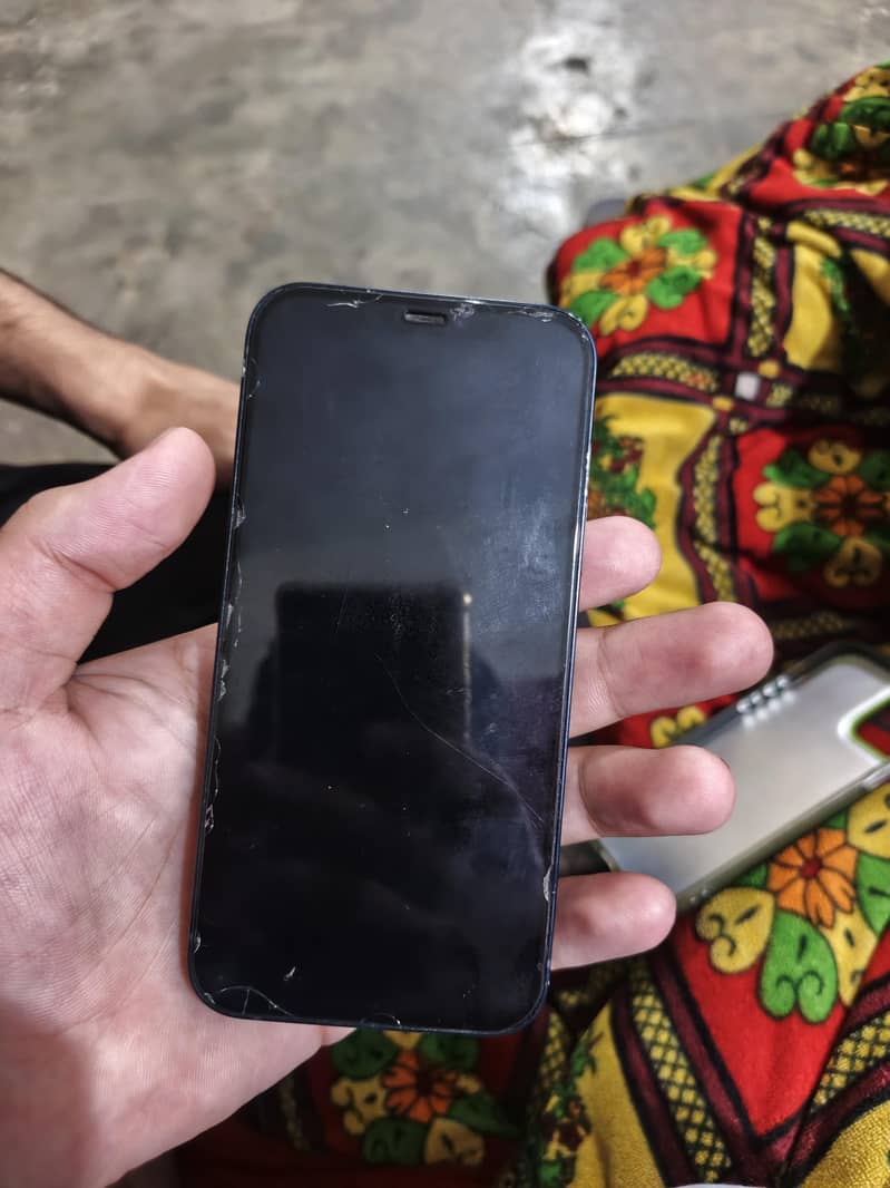 Apple iPhone 12 1