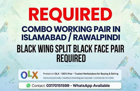 REQUIRED black face black wings for combo working