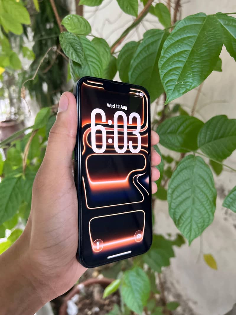 Apple iPhone 13 0