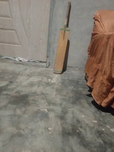Very nice bat