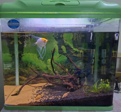 Aquarium , imported aquarium