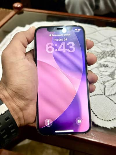 12 Pro Lush Condition 256 Gb