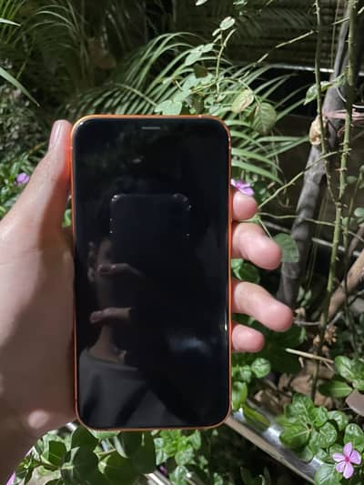 Apple iPhone XR