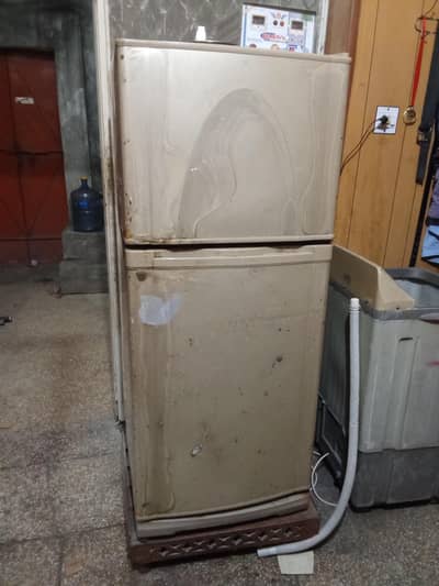 refrigerator & freezer