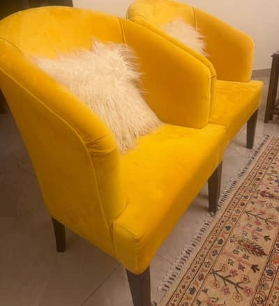 Golden Tub Chairs - Pair