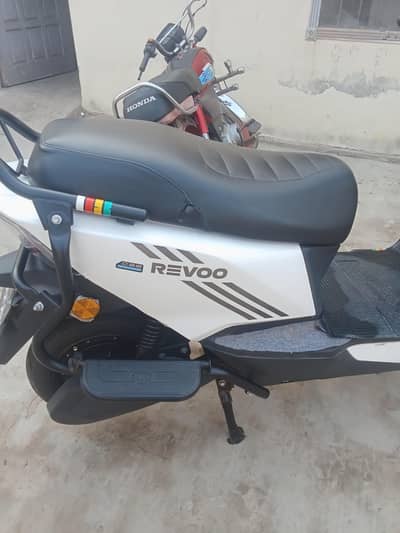 new revoo c32 young