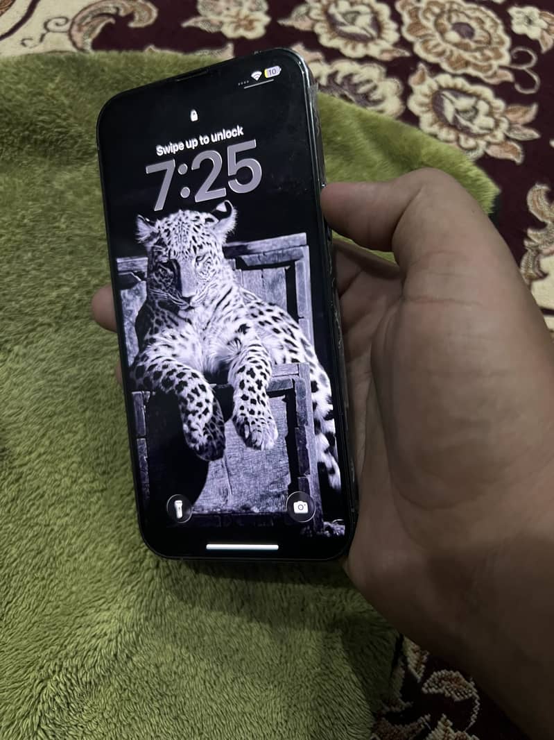 Apple iPhone 13 Pro Max 3