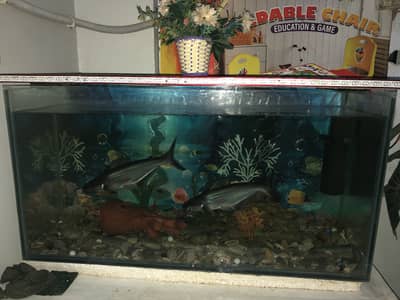 New Condition Aquarium