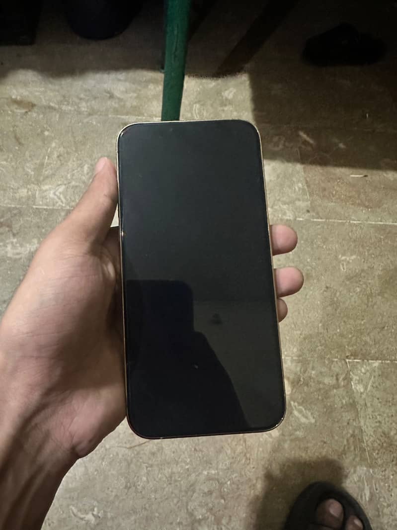 Apple iPhone 13 Pro Max 1