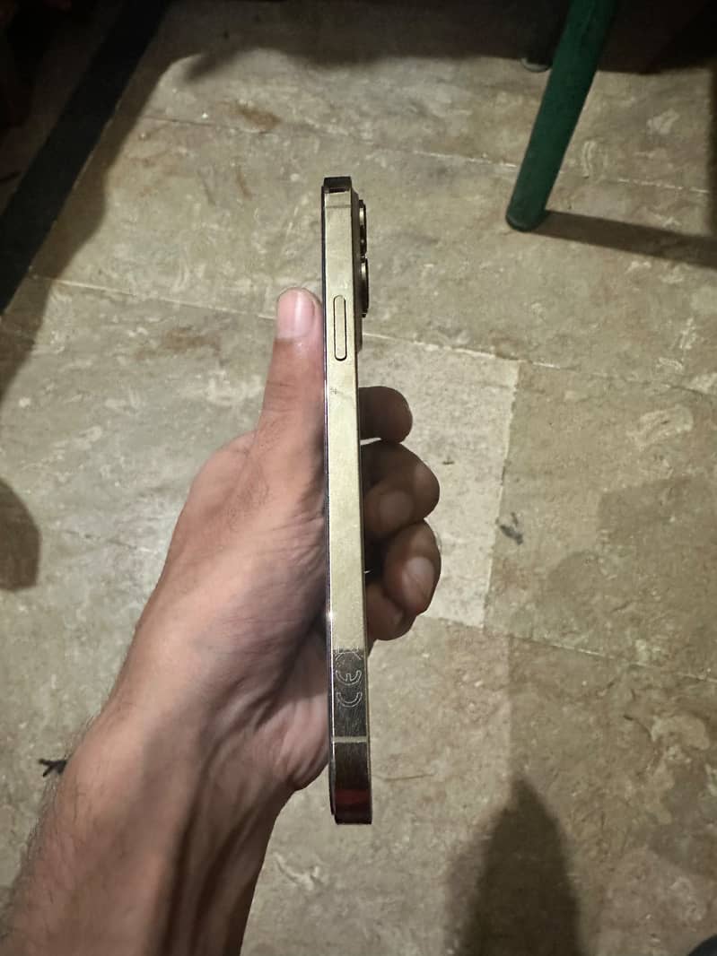 Apple iPhone 13 Pro Max 2