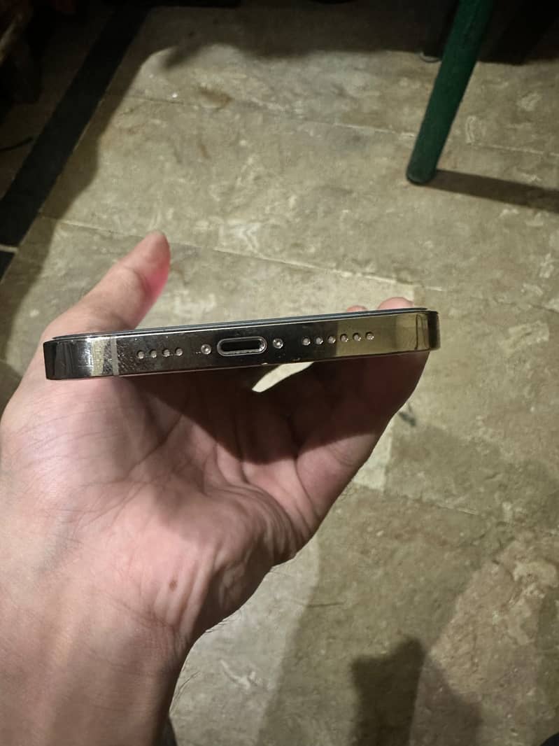 Apple iPhone 13 Pro Max 3