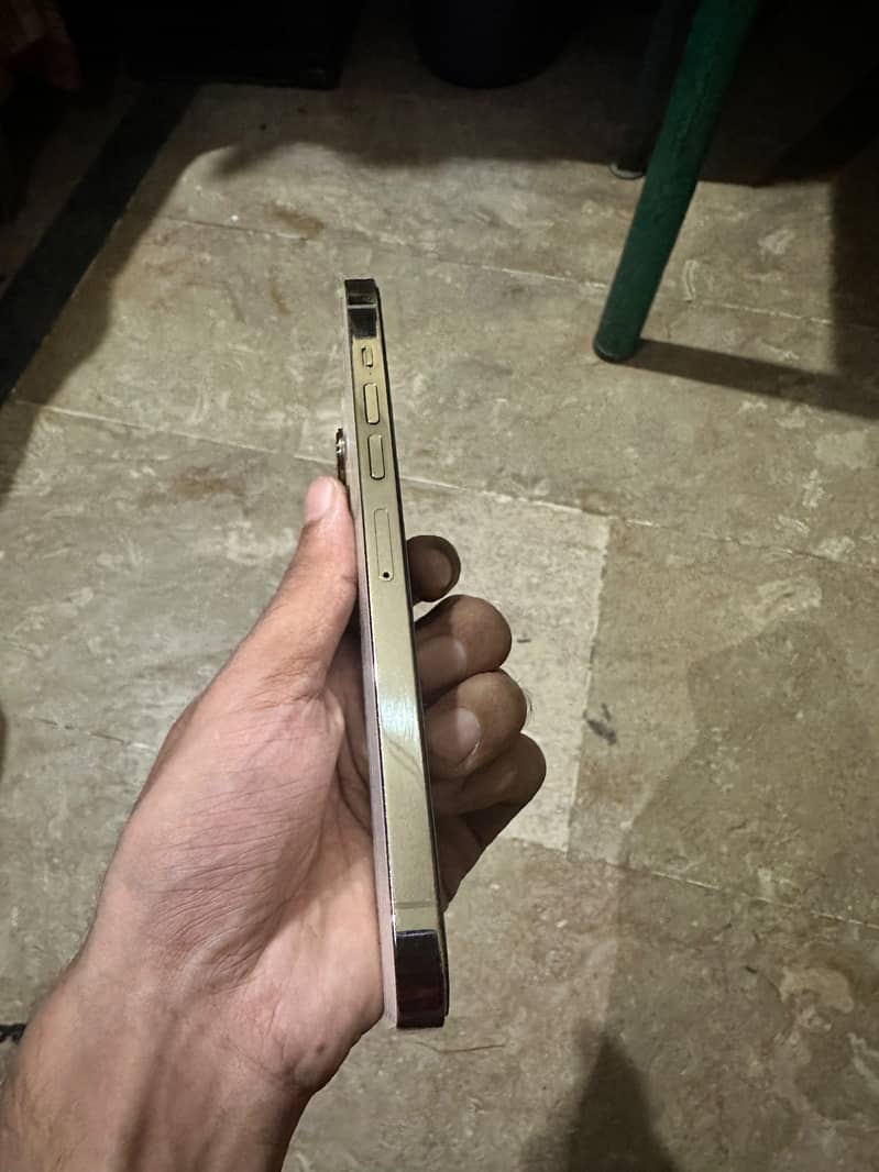 Apple iPhone 13 Pro Max 4