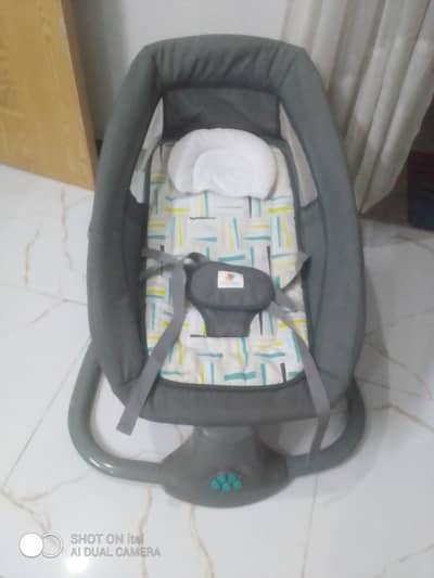 Baby Bouncer.