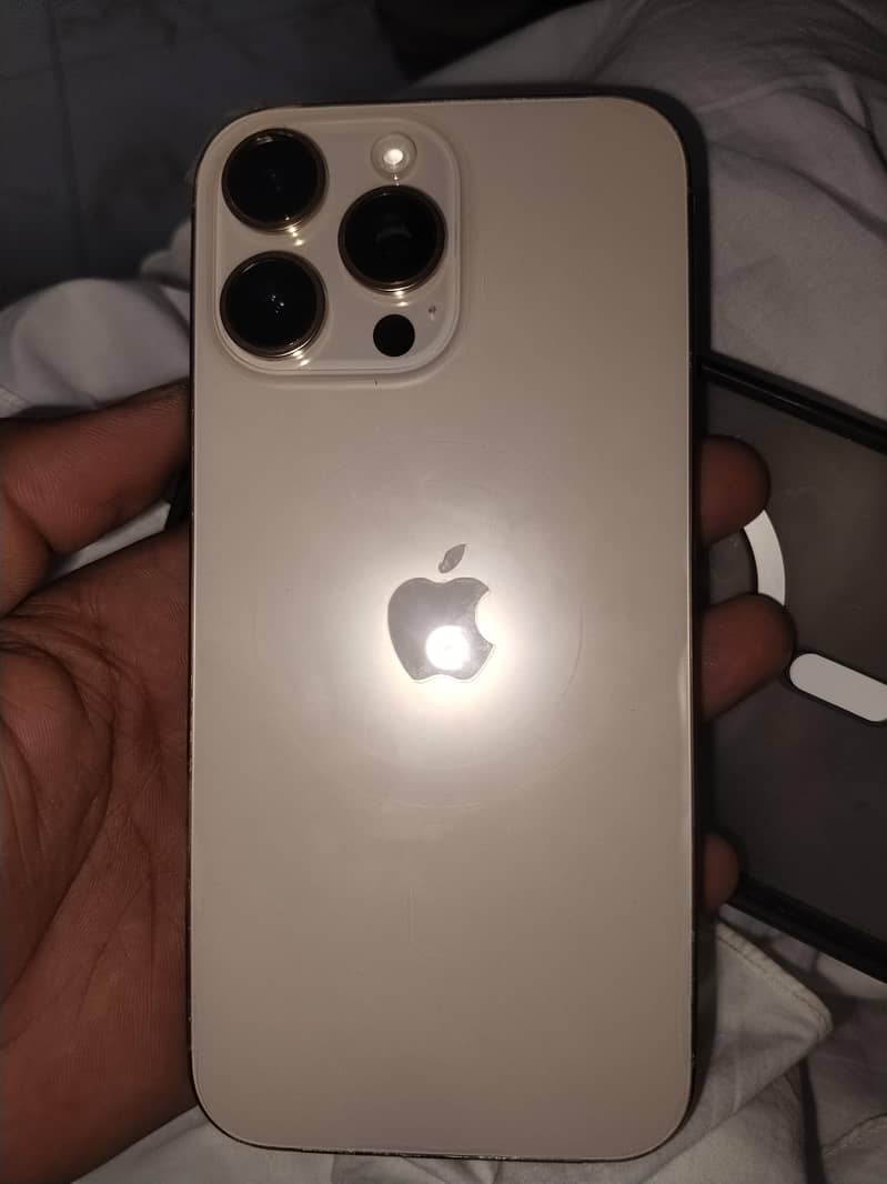 Apple iPhone 16 Pro Max 1