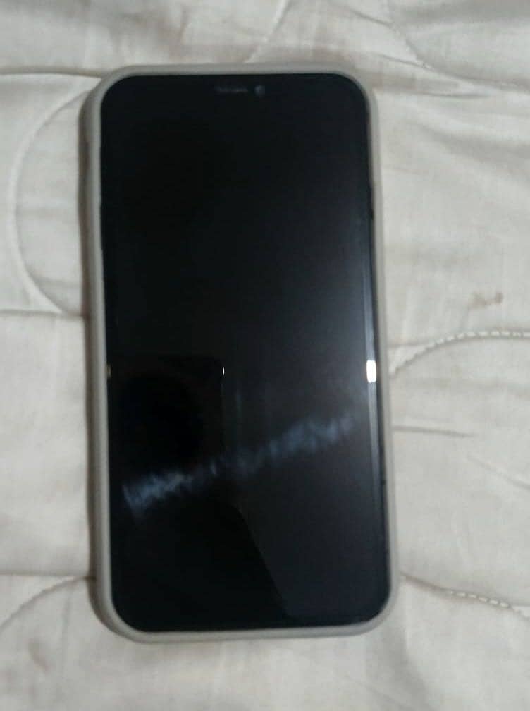 Apple iPhone 11 0