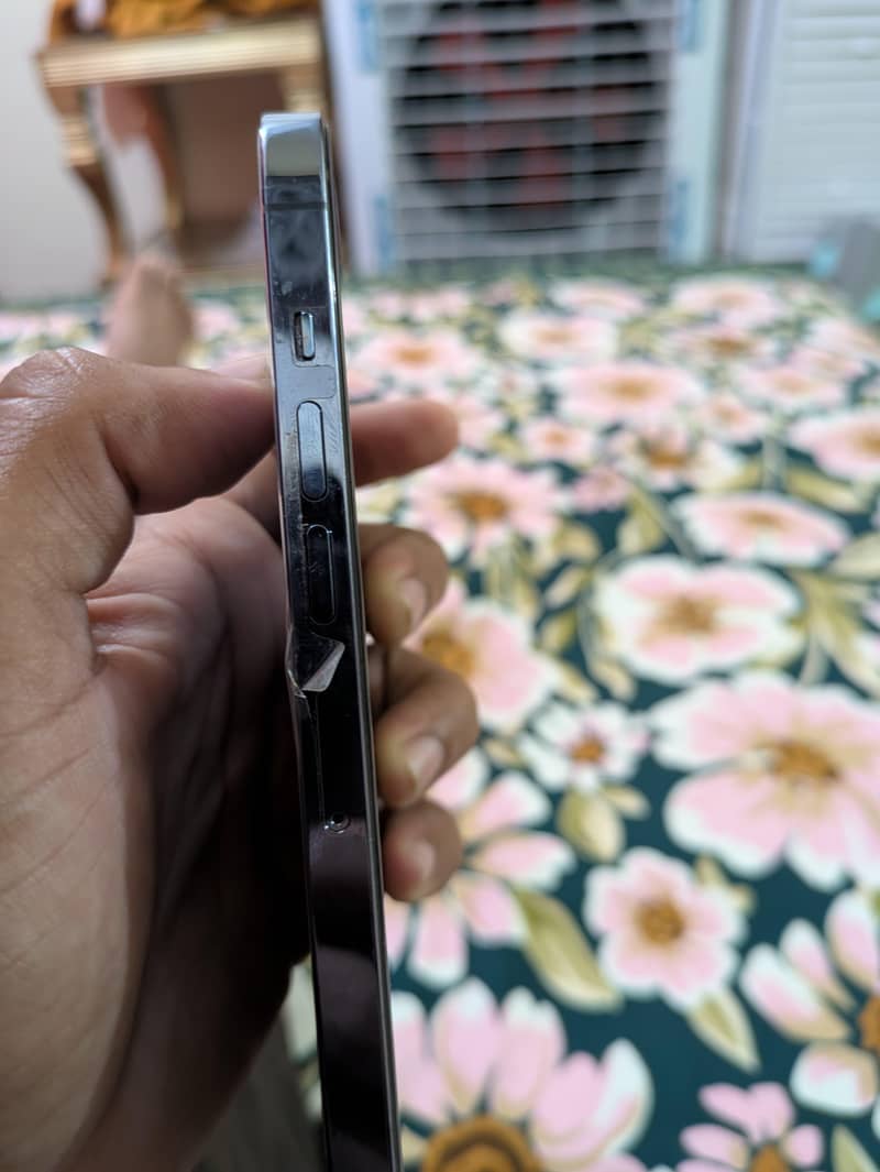 Apple iPhone 13 Pro Max 1