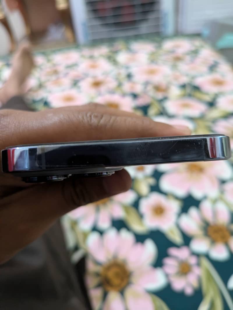 Apple iPhone 13 Pro Max 2
