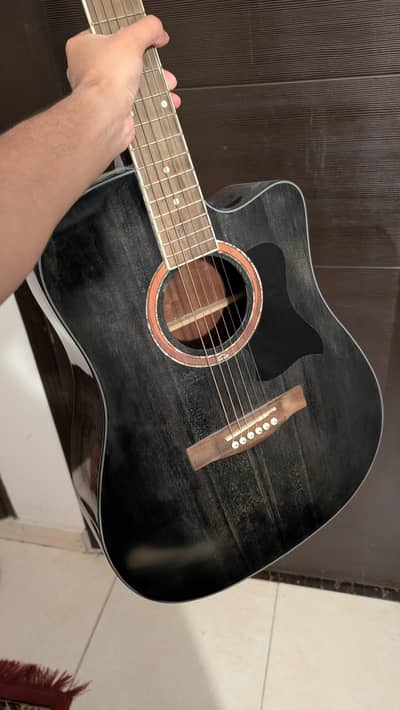 Professional accoustic guitar