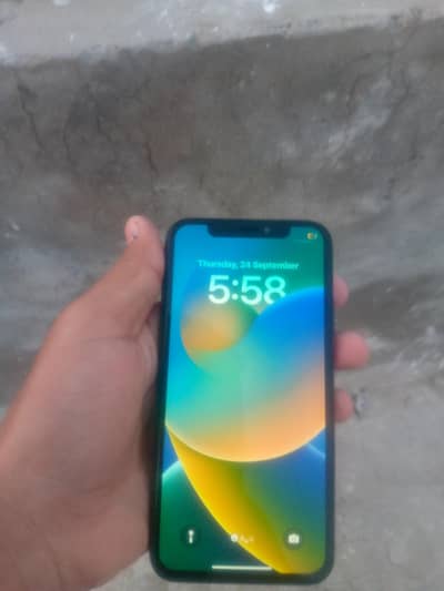 Apple iPhone X