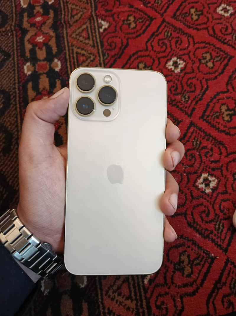 Apple iPhone 13 Pro Max 1