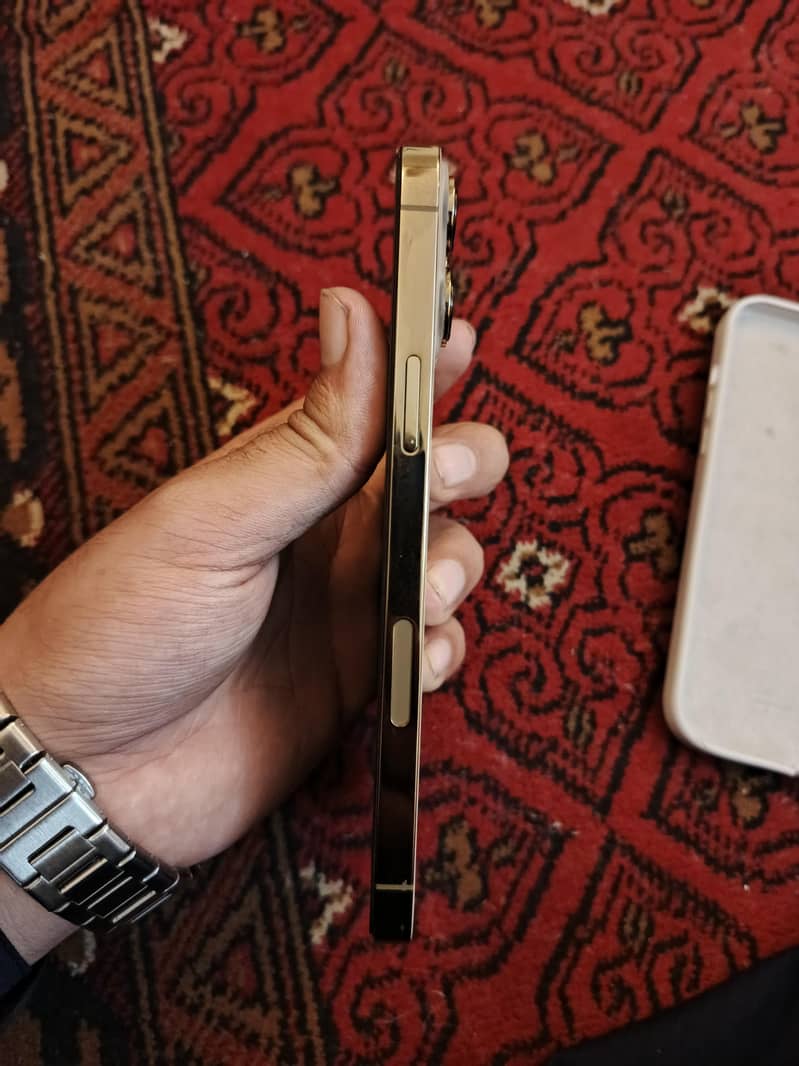 Apple iPhone 13 Pro Max 5
