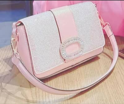 Aldo Bag
