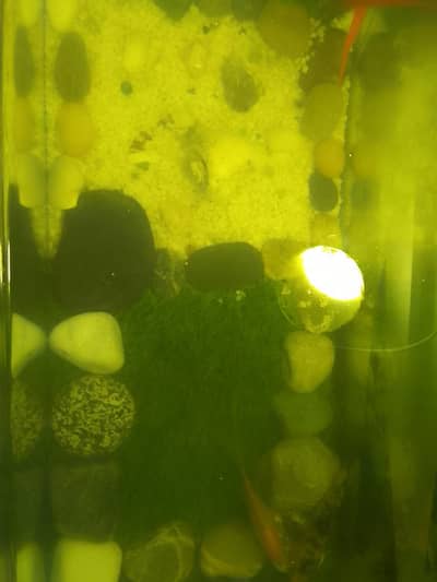 Aquarium