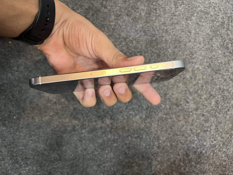 Apple iPhone 16 Pro Max 1