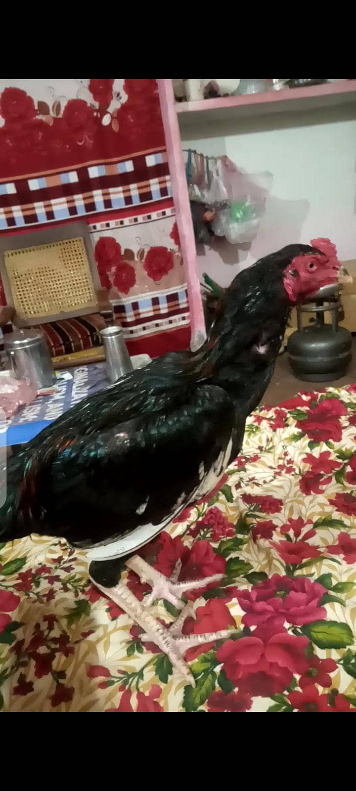 forsale 1