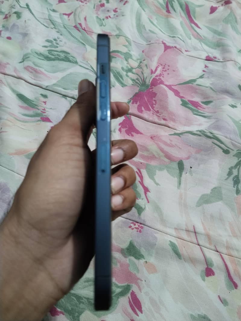 Apple iPhone 12 Pro Max 0