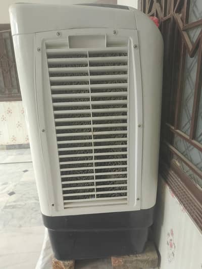 12 volt coolar