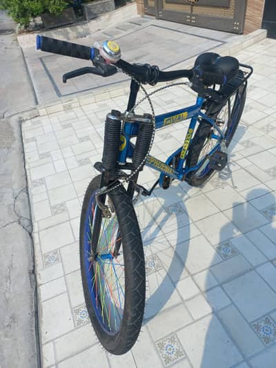 New Phoenix Bicycle