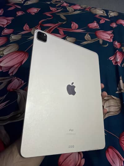 Ipad pro 13inch