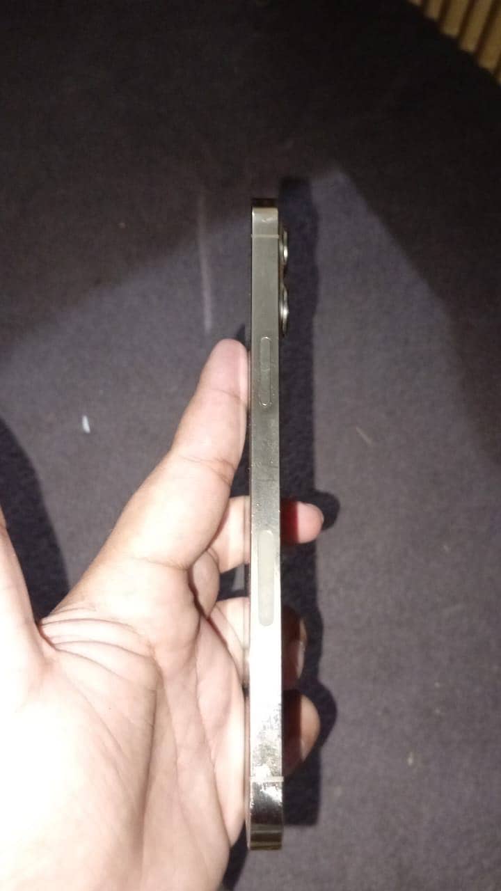 Apple iPhone 12 Pro Max 0