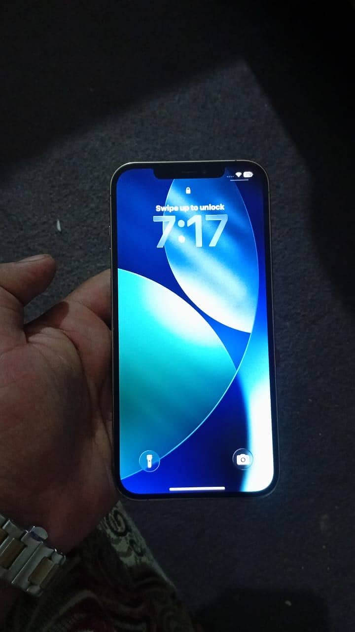 Apple iPhone 12 Pro Max 2