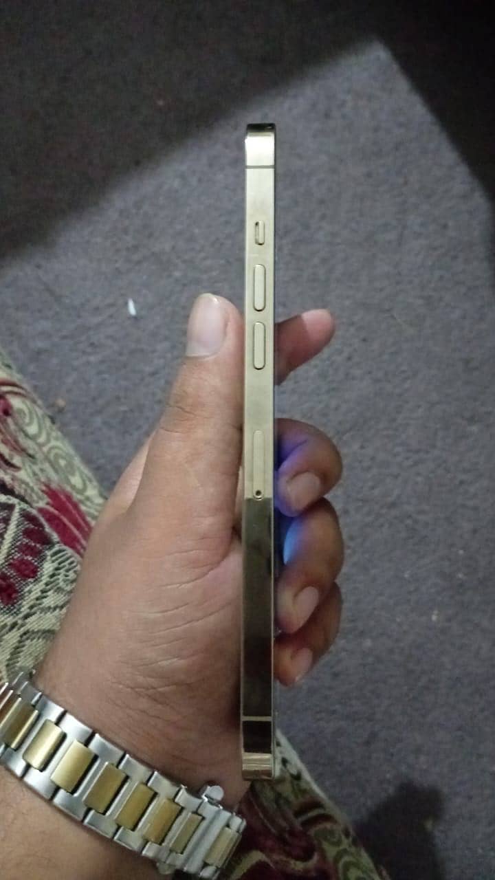 Apple iPhone 12 Pro Max 5