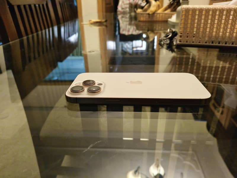 Apple iPhone 16 Pro Max 10