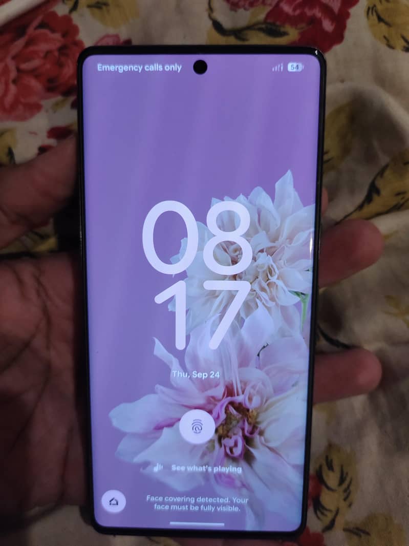 Google Pixel 7 Pro 2