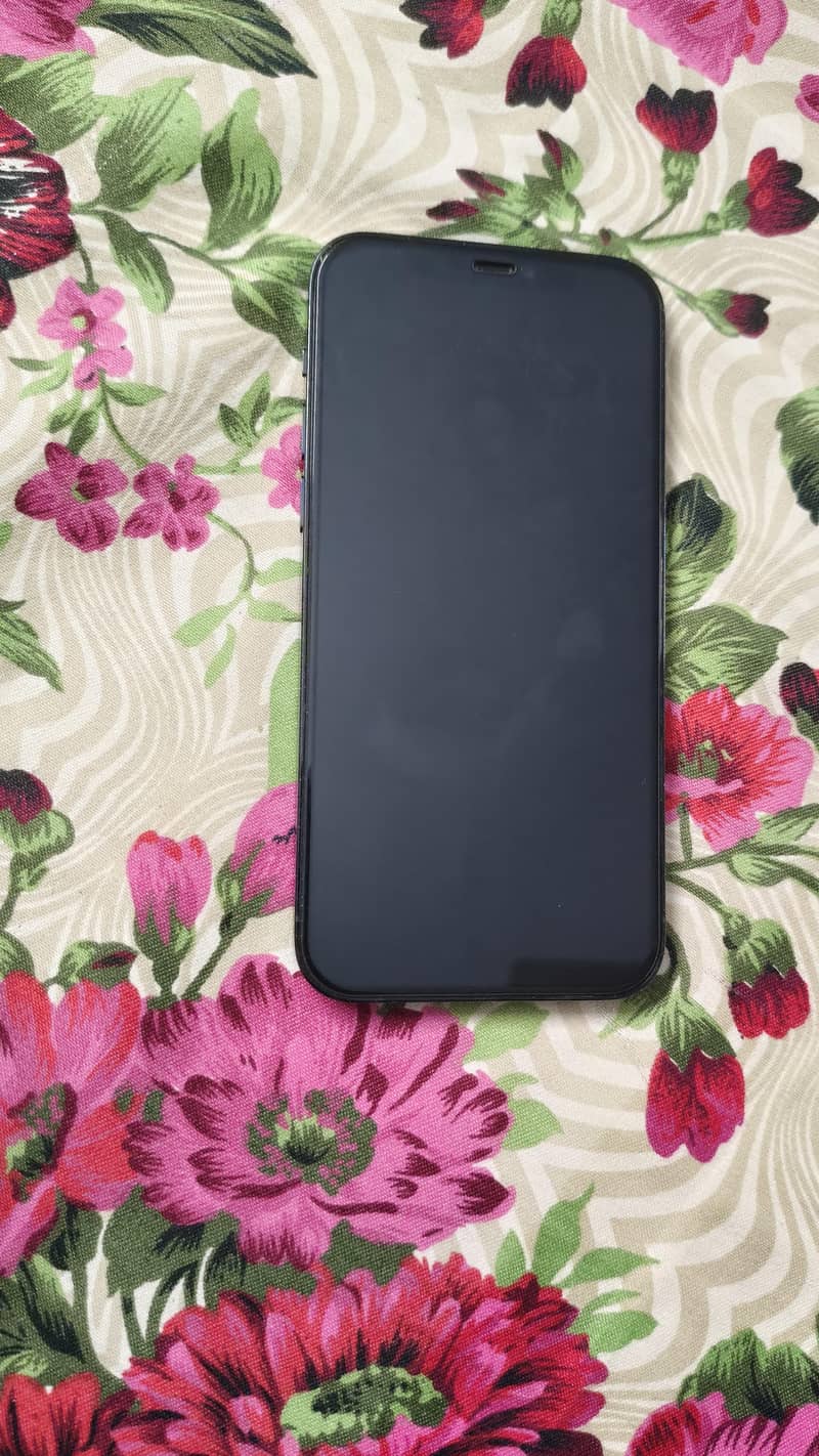 Apple iPhone 12 Pro 2