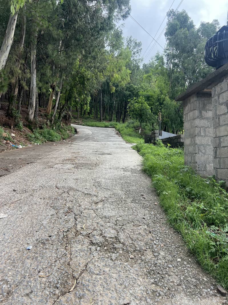Semi comerical plot on main KKH 2
